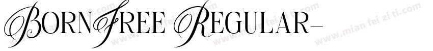 BornFree Regular字体转换